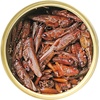 image:imageCanned Caterpillars 12 oz  Healthy High Protein Insect Treat  Hedgehogs Sugar Gliders Reptiles Wild Birds Chickens Lizards Bearded Dragons Skunks Opossums Fish Amphibians TurtlesGrasshoppers
