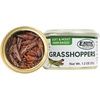 image:imageCanned Grasshoppers 6 Pack  Healthy High Protein Insect Treat  Hedgehogs Sugar Gliders Reptiles Wild Birds Chickens Lizards Bearded Dragons Skunks Opossums Fish Amphibians