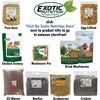 image:imageDried Mealworms  100 Natural NonGMO High Protein Bulk Insect Treat for Chicken Laying Hen Chick Wild Bird Bluebird Duck Goose Turkey Chickadee Titmice Wren Reptile Fish 2 lb11 Pound Pack of 1