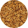 image:imageDried Mealworms  100 Natural NonGMO High Protein Bulk Insect Treat for Chicken Laying Hen Chick Wild Bird Bluebird Duck Goose Turkey Chickadee Titmice Wren Reptile Fish 2 lb88 Pound Pack of 1