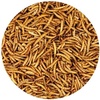 image:imageDried Mealworms  100 Natural NonGMO High Protein Bulk Insect Treat for Chicken Laying Hen Chick Wild Bird Bluebird Duck Goose Turkey Chickadee Titmice Wren Reptile Fish 2 lb5 Pound Pack of 1