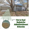 image:imageDried Mealworms  100 Natural NonGMO High Protein Bulk Insect Treat for Chicken Laying Hen Chick Wild Bird Bluebird Duck Goose Turkey Chickadee Titmice Wren Reptile Fish 2 lb2 Pound Pack of 1