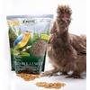 image:imageDried Mealworms  100 Natural NonGMO High Protein Bulk Insect Treat for Chicken Laying Hen Chick Wild Bird Bluebird Duck Goose Turkey Chickadee Titmice Wren Reptile Fish 2 lb11 Pound Pack of 1