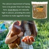 image:imageEZWorms 10 lb  Blend of Dried Mealworms amp Black Soldier Fly Larvae BSFL  Healthy Insect Treat  Chickens Bluebirds Sugar Gliders Hedgehogs Squirrels Skunks Reptiles Turtles Fish10 Pound Pack of 1