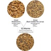 image:imageEZWorms 10 lb  Blend of Dried Mealworms amp Black Soldier Fly Larvae BSFL  Healthy Insect Treat  Chickens Bluebirds Sugar Gliders Hedgehogs Squirrels Skunks Reptiles Turtles Fish10 Pound Pack of 1