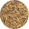 image:imageExotic Nutrition Dried Black Soldier Fly Larvae 15 oz  HighCalcium Insect Treat  Chickens Wild Birds Hedgehogs Bluebirds Reptiles Sugar Gliders Opossums Skunks Lizards Fish30 Pound Pack of 1
