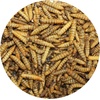 image:imageExotic Nutrition Dried Black Soldier Fly Larvae 15 oz  HighCalcium Insect Treat  Chickens Wild Birds Hedgehogs Bluebirds Reptiles Sugar Gliders Opossums Skunks Lizards Fish60 Pound Pack of 1