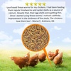 image:imageExotic Nutrition Dried Black Soldier Fly Larvae 15 oz  HighCalcium Insect Treat  Chickens Wild Birds Hedgehogs Bluebirds Reptiles Sugar Gliders Opossums Skunks Lizards Fish80 Pound Pack of 1