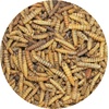 image:imageExotic Nutrition Dried Black Soldier Fly Larvae 15 oz  HighCalcium Insect Treat  Chickens Wild Birds Hedgehogs Bluebirds Reptiles Sugar Gliders Opossums Skunks Lizards Fish15 Ounce Pack of 3