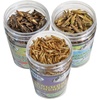 image:imageExotic Nutrition Dried Insect 3 Pack  Crickets Grasshoppers Mealworms  for Sugar Gliders Hedgehogs Wild Birds Chickens Turtles Tropical Fish Reptiles