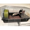 image:imageExotic Nutrition Hedgehog Home amp Starter Package  Includes Durable Cage Exercise Wheel Healthy Food Natural Treat MultiVitamin amp Hideout