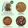 image:imageExotic Nutrition Hedgehog Treat Sampler  Healthy Natural Treat Variety Pack  High Protein Insect Variety Pack for Pet Hedgehogs