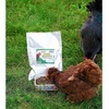 image:imageExotic Nutrition Hedgehog Treat Sampler  Healthy Natural Treat Variety Pack  High Protein Insect Variety Pack for Pet Hedgehogs