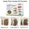 image:imageExotic Nutrition Hedgehog Treat Sampler  Healthy Natural Treat Variety Pack  High Protein Insect Variety Pack for Pet Hedgehogs