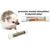 image:imageExotic Nutrition Rolling Forage Cylinder  Fun amp Unique Forage Toy  Sugar Glider Hedgehog Squirrel Chinchilla Prairie Dog Degu Chicken Bird Skunk Rabbit Hamster and Other Small Animals