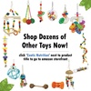 image:imageExotic Nutrition Rolling Forage Cylinder  Fun amp Unique Forage Toy  Sugar Glider Hedgehog Squirrel Chinchilla Prairie Dog Degu Chicken Bird Skunk Rabbit Hamster and Other Small Animals