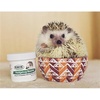 image:imageExotic Nutrition Starter Package for Hedgehogs  Includes Exercise Wheel Healthy Food Natural Treat MultiVitamin amp Hideout