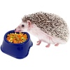 image:imageExotic Nutrition Starter Package for Hedgehogs  Includes Exercise Wheel Healthy Food Natural Treat MultiVitamin amp Hideout