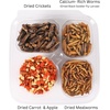 image:imageHedgehog Treat Variety Pack  Healthy Natural Treat Sampler  Mealworms Black Soldier Fly Larvae Crickets Apples Carrots  Value Package