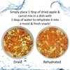 image:imageHedgehog Treat Variety Pack  Healthy Natural Treat Sampler  Mealworms Black Soldier Fly Larvae Crickets Apples Carrots  Value Package