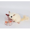 image:imageStar Forage Cup  Durable Treat Foraging Cage Accessory Toy  for Sugar Gliders Squirrels Chinchillas Prairie Dogs Degus Opossums Marmosets Monkeys Parrots Birds Rats Hamsters amp Gerbils