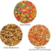 image:imageTreat Assortment 3 Pack  Pet Treats with Mix of Dried Fruits Dried Insects amp Other Crunchies  for Sugar Gliders Hedgehogs Squirrels Rabbits Marmosets Rats Hamsters  Sample Variety