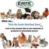 image:imageTreat Assortment 6 Pack  Pet Treat with Mix of Dried Fruits Dried Insects amp Other Crunchies  For Sugar Gliders Hedgehogs Squirrels Rabbits Marmosets Rats Hamsters  Sample Variety