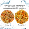 image:imageVeggie Blend  Healthy Natural Mixed Dried Vegetable Treat  Sweet Potatoes Carrots Peas  for Degus Chinchillas Sugar Gliders Hedgehogs Guinea Pigs amp Small Pets 8 Ounce Pack of 13 Ounce Pack of 1