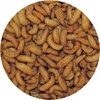 image:imageWax Snax  Dried Wax Worm Insect Treat  Hedgehogs Sugar Gliders Reptiles Wild Birds Chickens Lizards Bearded Dragons Skunks Opossums Amphibians Turtles Geckos Frogs 1 oz1 Ounce Pack of 1
