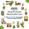image:imageWillow Value Pack  Natural Safe Woven Wood Chew Toys  Hamsters Guinea Pigs Rabbits Hedgehogs Chinchillas Rats Ferrets Sugar Gliders Squirrels Prairie Dogs Marmosets Degus amp Small Pets