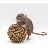 image:imageWillow Value Pack  Natural Safe Woven Wood Chew Toys  Hamsters Guinea Pigs Rabbits Hedgehogs Chinchillas Rats Ferrets Sugar Gliders Squirrels Prairie Dogs Marmosets Degus amp Small Pets