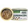 Super Mealworms