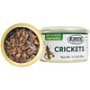 image:imageCanned Caterpillars 12 oz  Healthy High Protein Insect Treat  Hedgehogs Sugar Gliders Reptiles Wild Birds Chickens Lizards Bearded Dragons Skunks Opossums Fish Amphibians TurtlesCrickets