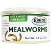 Mealworms