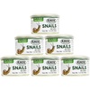 image:imageCanned Snails 6 Pack  Healthy High Protein Insect Treat  Hedgehogs Sugar Gliders Reptiles Wild Birds Chickens Lizards Bearded Dragons Skunks Opossums Fish Amphibians Turtles