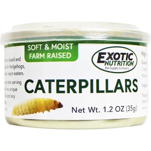 image:imageCanned Caterpillars 12 oz  Healthy High Protein Insect Treat  Hedgehogs Sugar Gliders Reptiles Wild Birds Chickens Lizards Bearded Dragons Skunks Opossums Fish Amphibians TurtlesCaterpillars