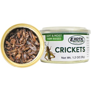 image:imageCanned Caterpillars 12 oz  Healthy High Protein Insect Treat  Hedgehogs Sugar Gliders Reptiles Wild Birds Chickens Lizards Bearded Dragons Skunks Opossums Fish Amphibians TurtlesCrickets