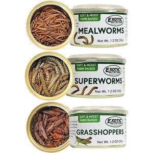 image:imageCanned Insect Assortment 3 Pack  Healthy HighProtein Treat  Sugar Gliders Hedgehogs Skunks Squirrels Wild Birds Opossums Turtles Tropical fish Reptiles Amphibians amp Other Small Pets