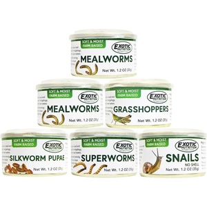 image:imageCanned Insect Assortment 6 Pack  Healthy High Protein Treat  For Hedgehogs Sugar Gliders Reptiles Chickens Lizards Bearded Dragons Turtles Fish Birds Opossums Skunks and other Insectivores
